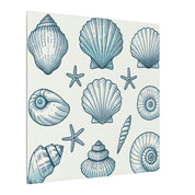 Coastal Shell Collection Canvas