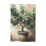 Potted Peach Tree Rustic Canvas