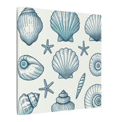Coastal Shell Collection Canvas