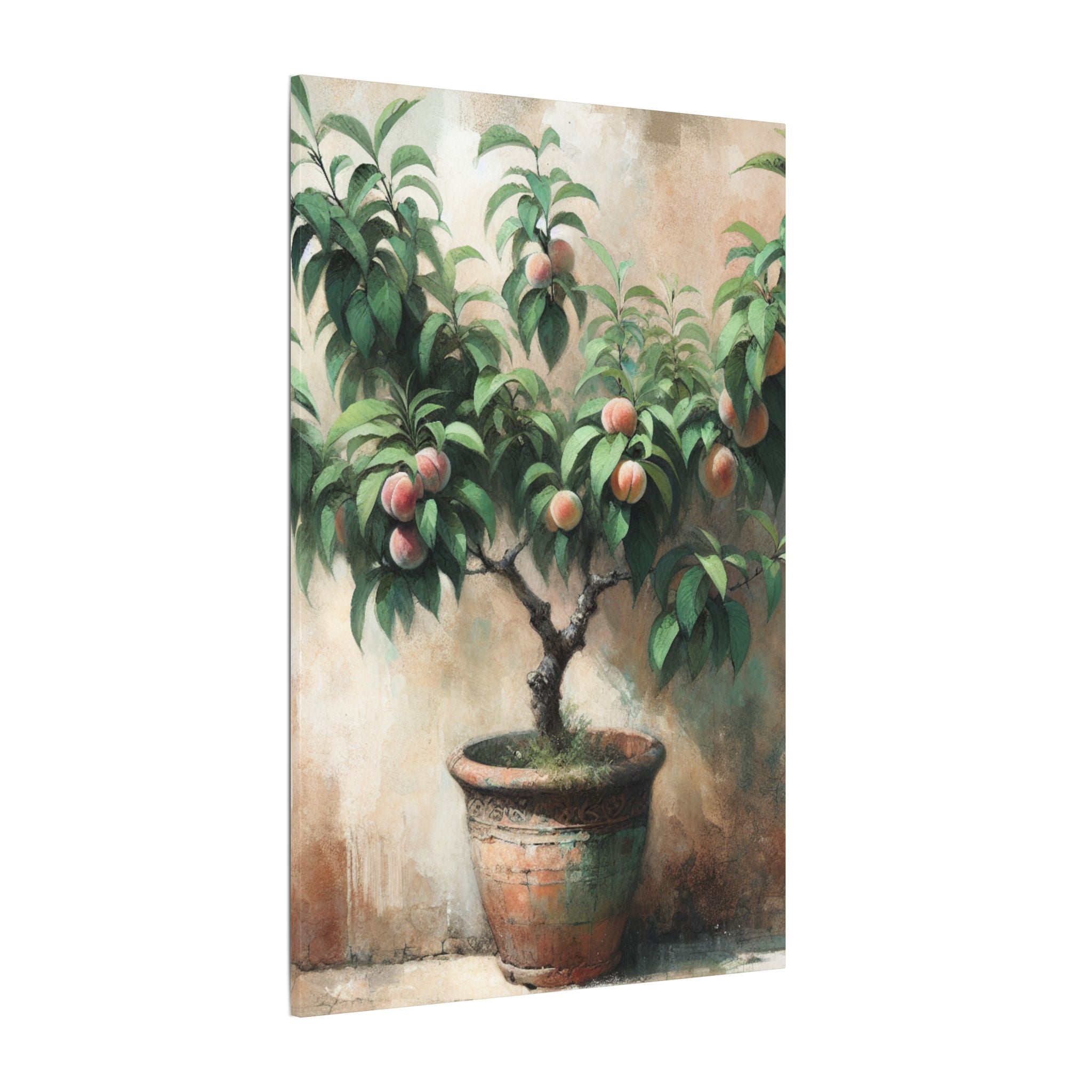 Potted Peach Tree Rustic Canvas