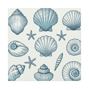 Coastal Shell Collection Canvas