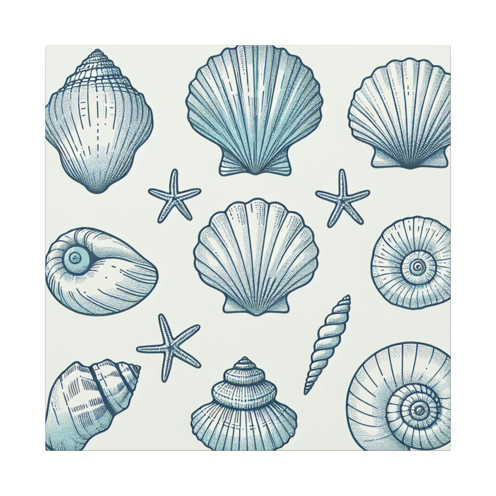 Coastal Shell Collection Canvas