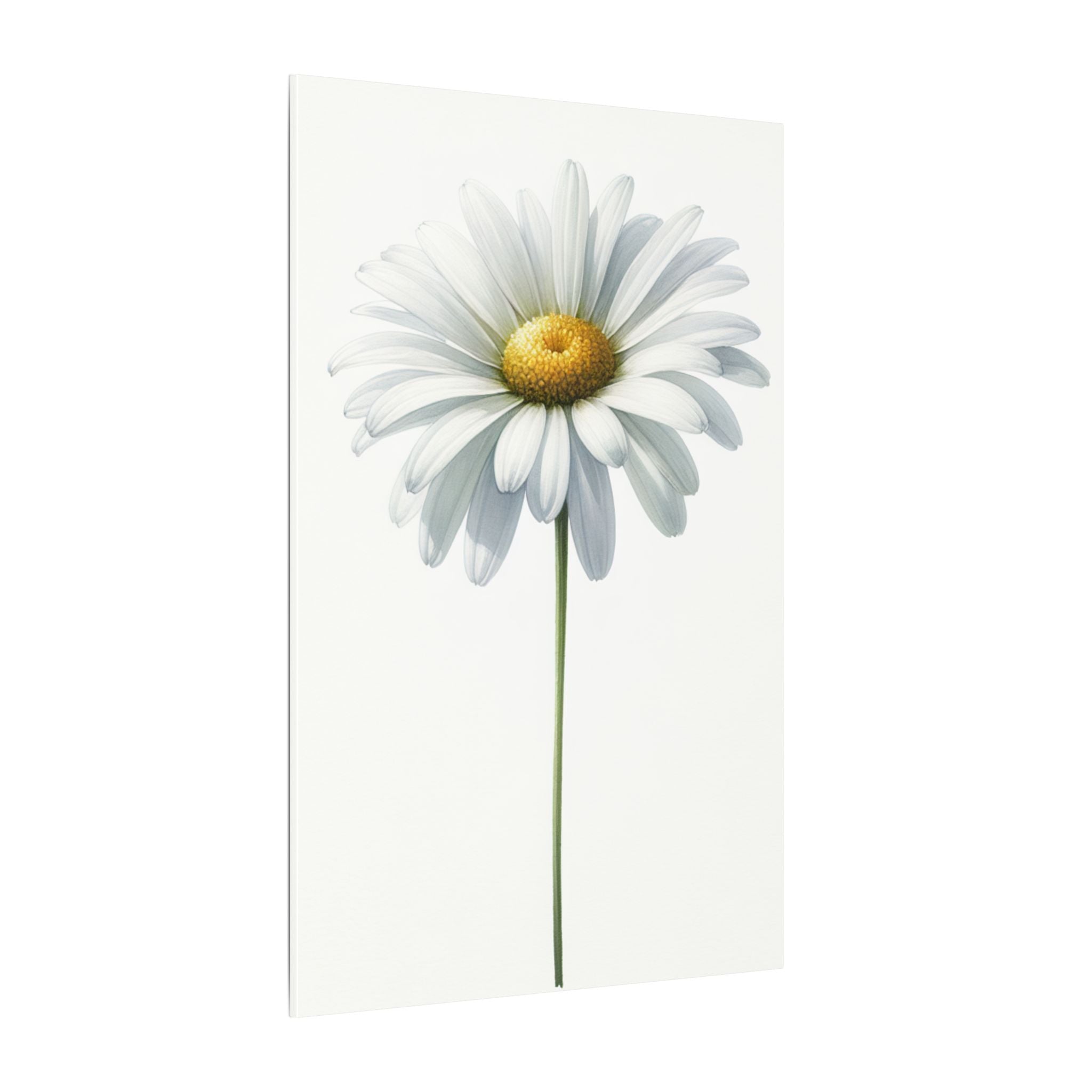 Minimalist Daisy Flower Canvas
