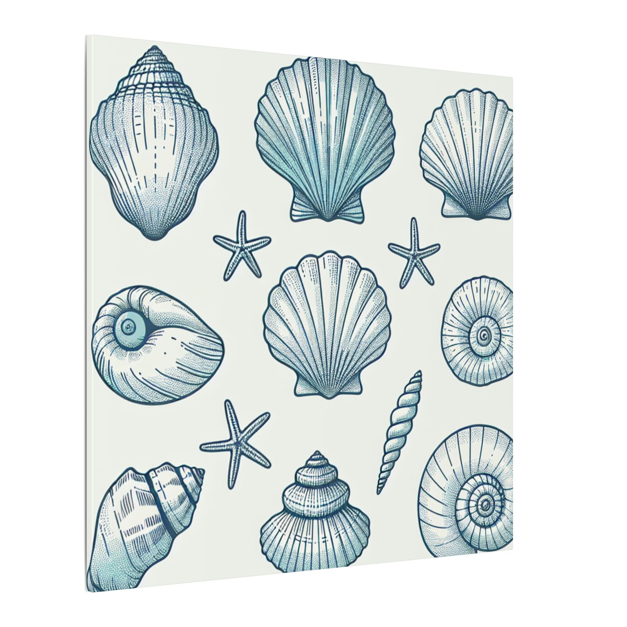 Coastal Shell Collection Canvas