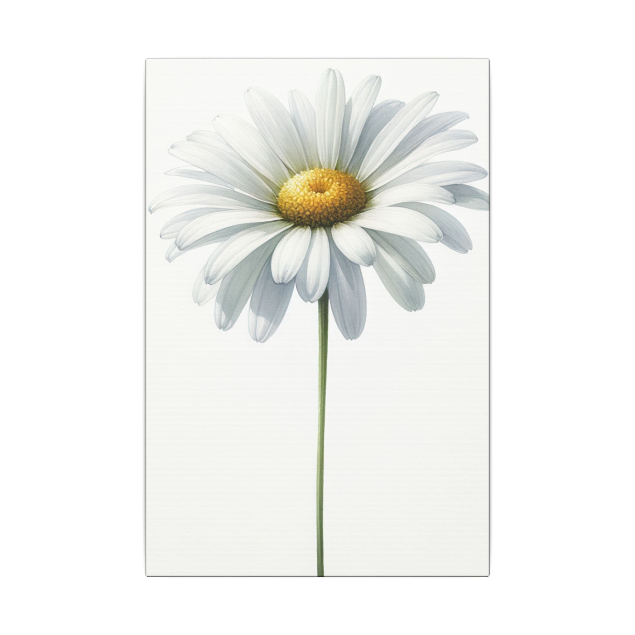 Minimalist Daisy Flower Canvas