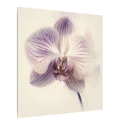 Orchid Bloom Watercolor Canvas