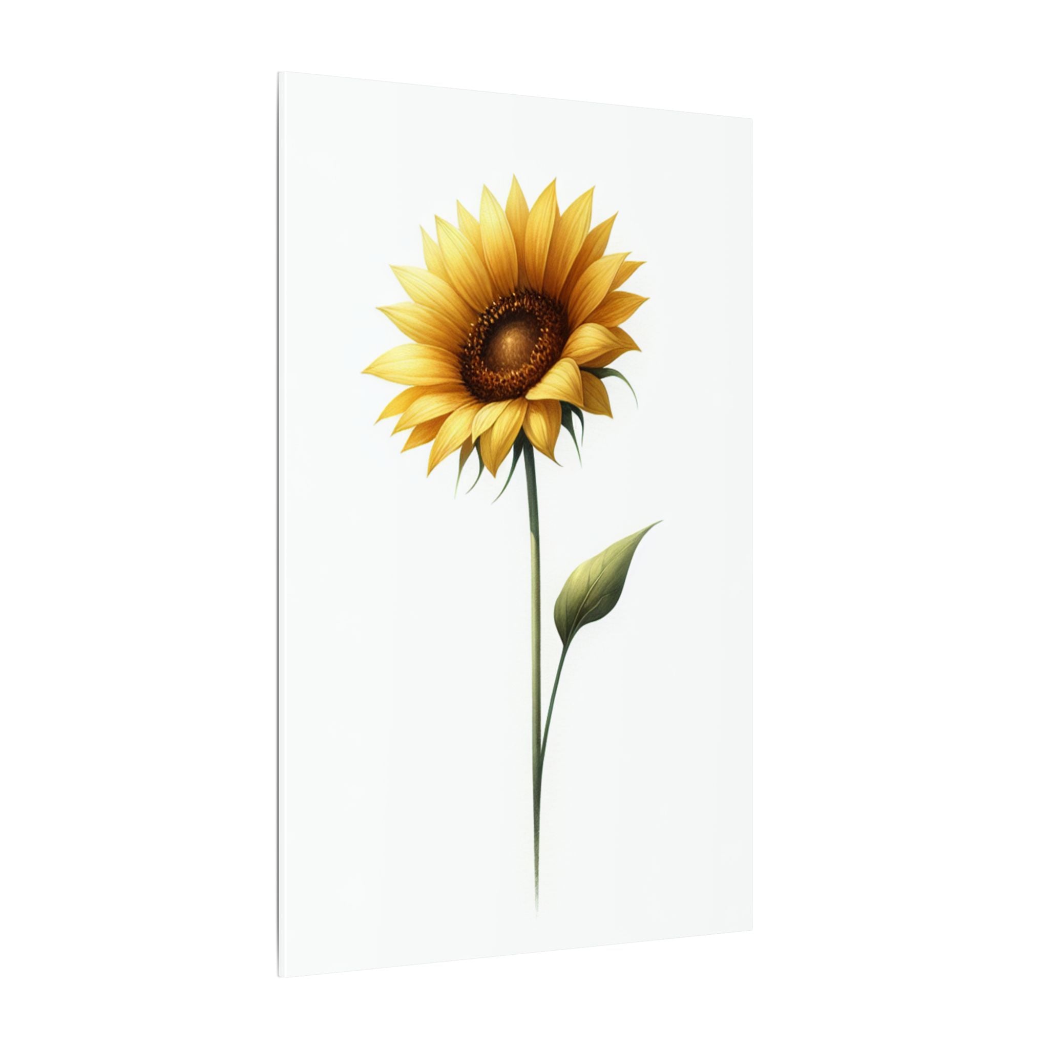 Minimalist Sunflower Canvas