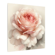 Soft Bloom Rose Canvas