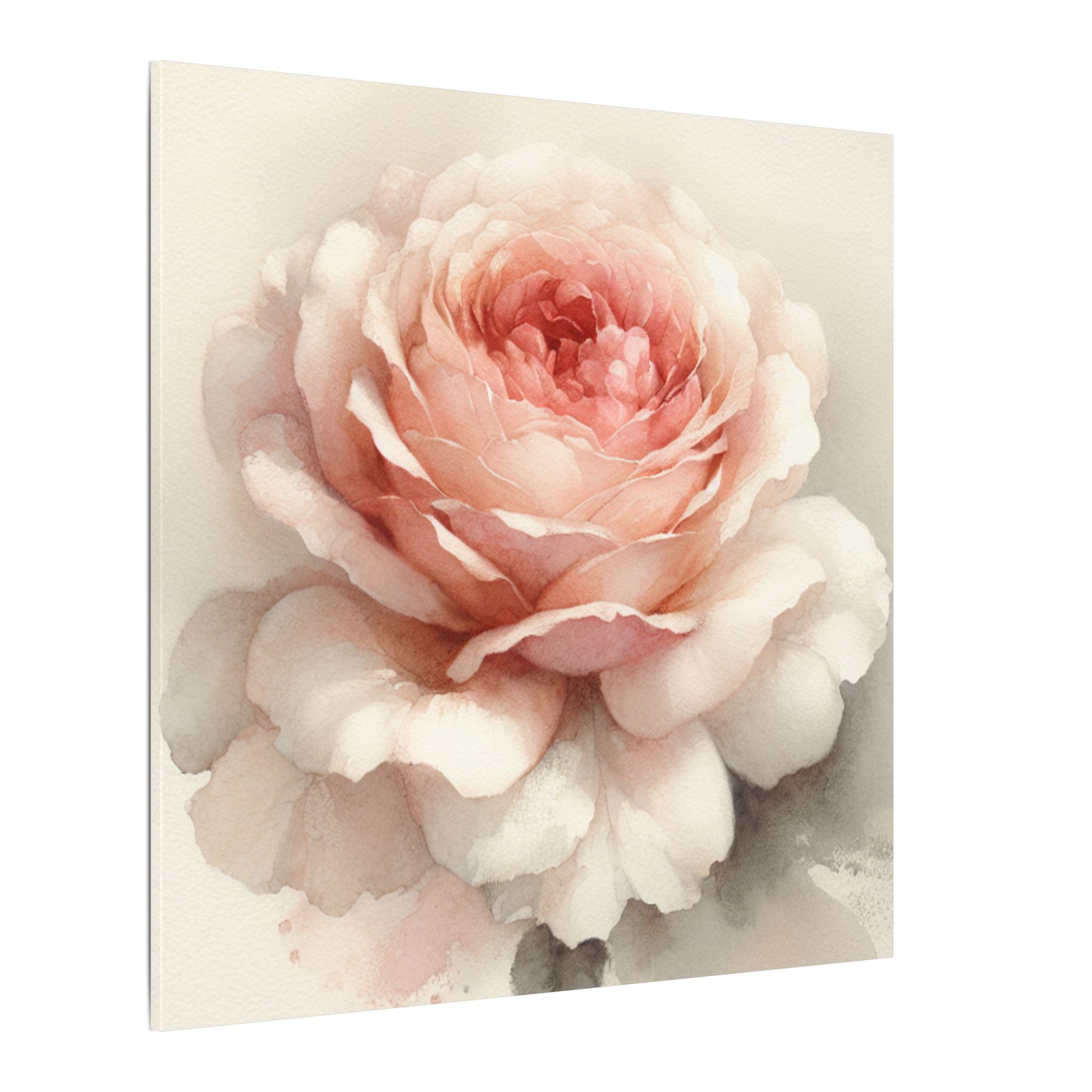 Soft Bloom Rose Canvas