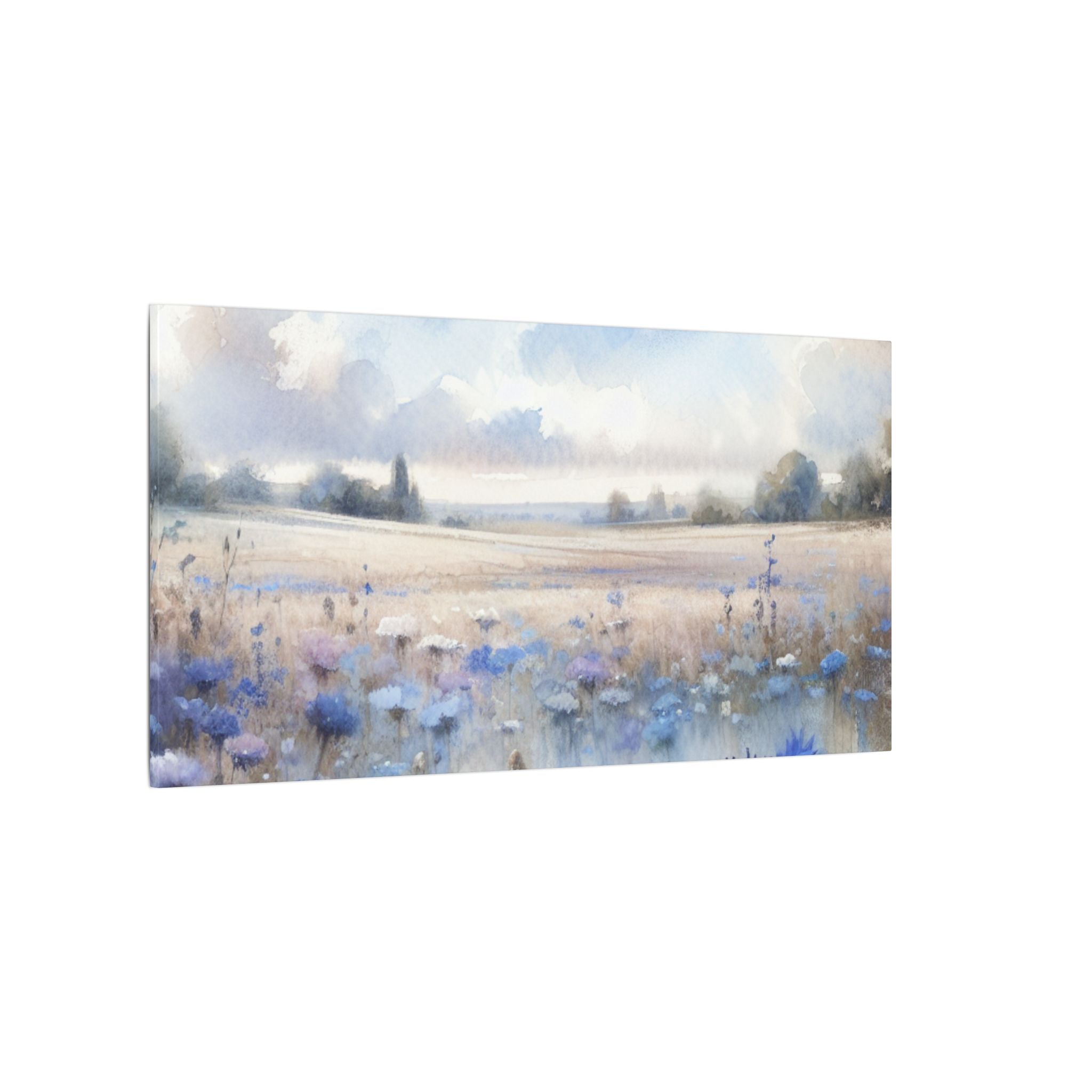 Cornflower Field Canvas
