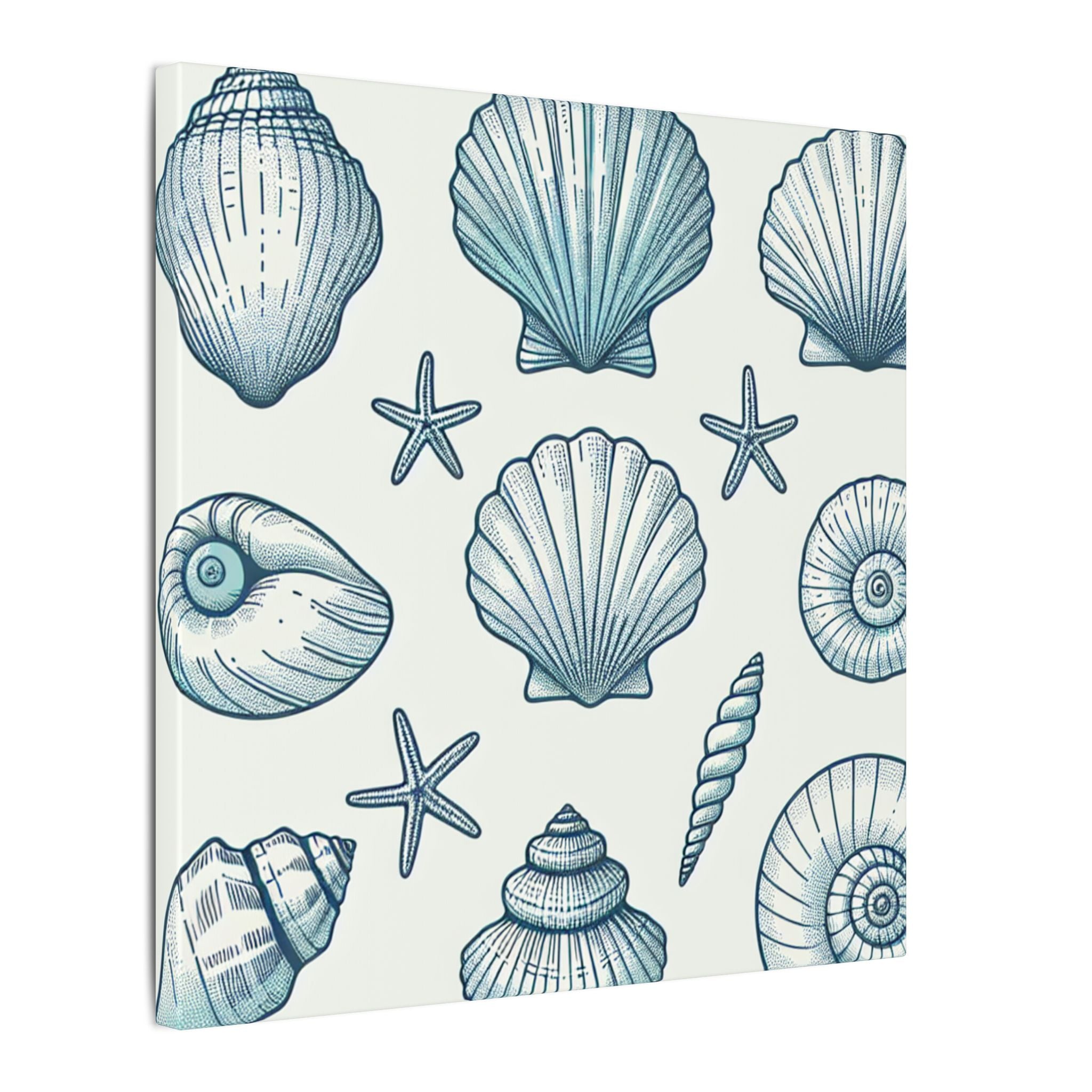 Coastal Shell Collection Canvas
