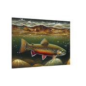 Brook Trout Stream Canvas