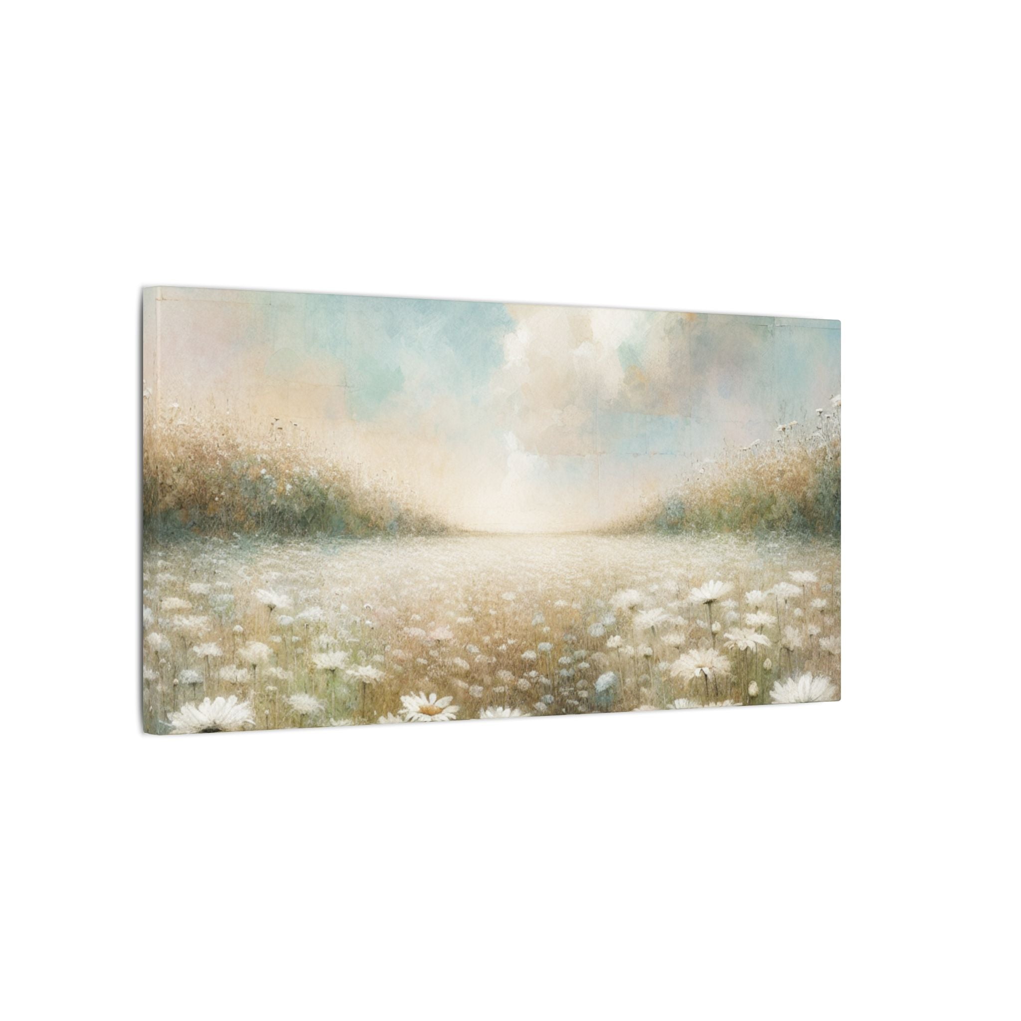 Daisy Field Skyscape Canvas