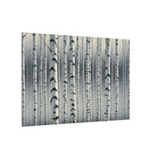 Winter Birch Grove Canvas