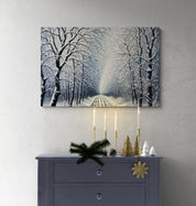Winter Forest Path Canvas