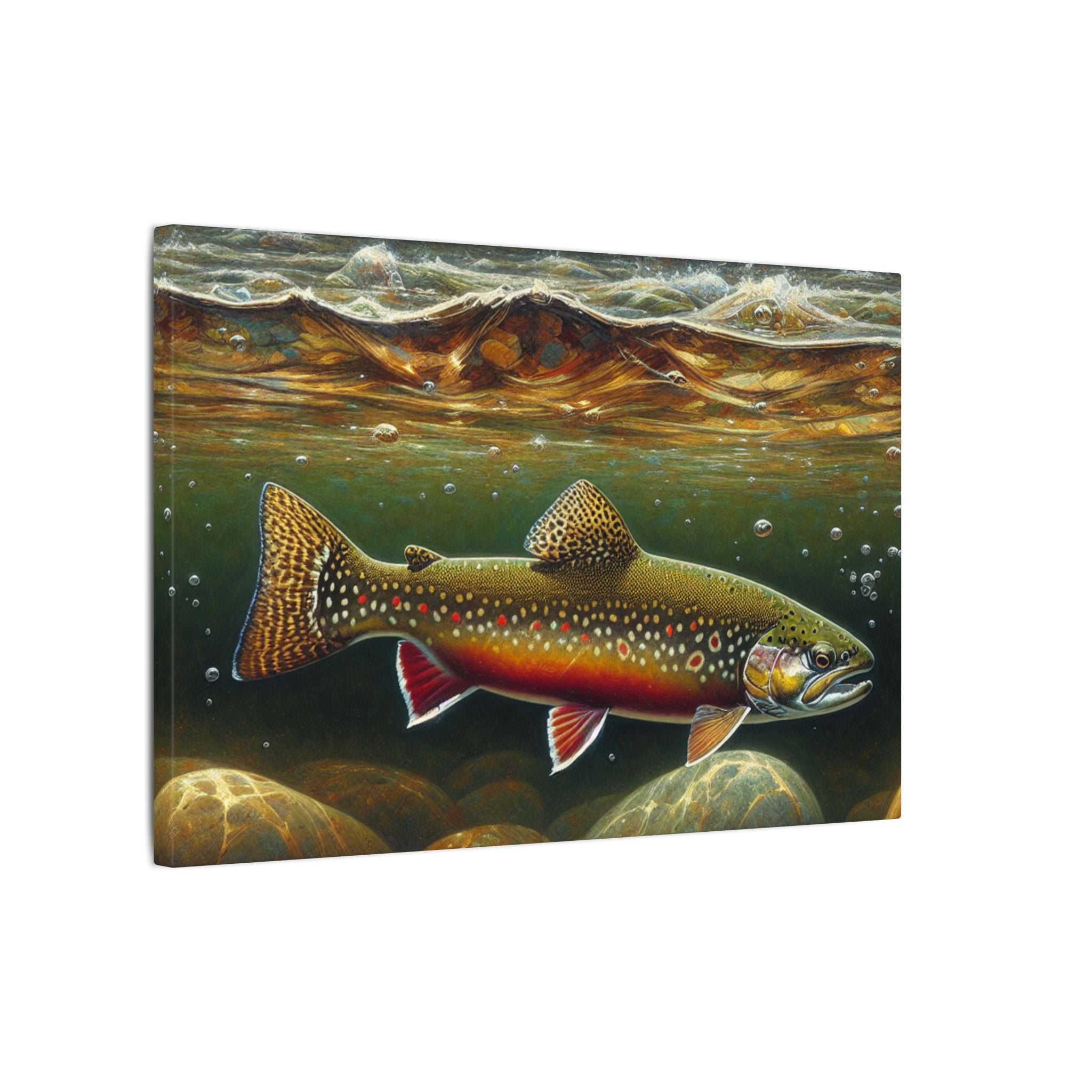 Brook Trout Stream Canvas