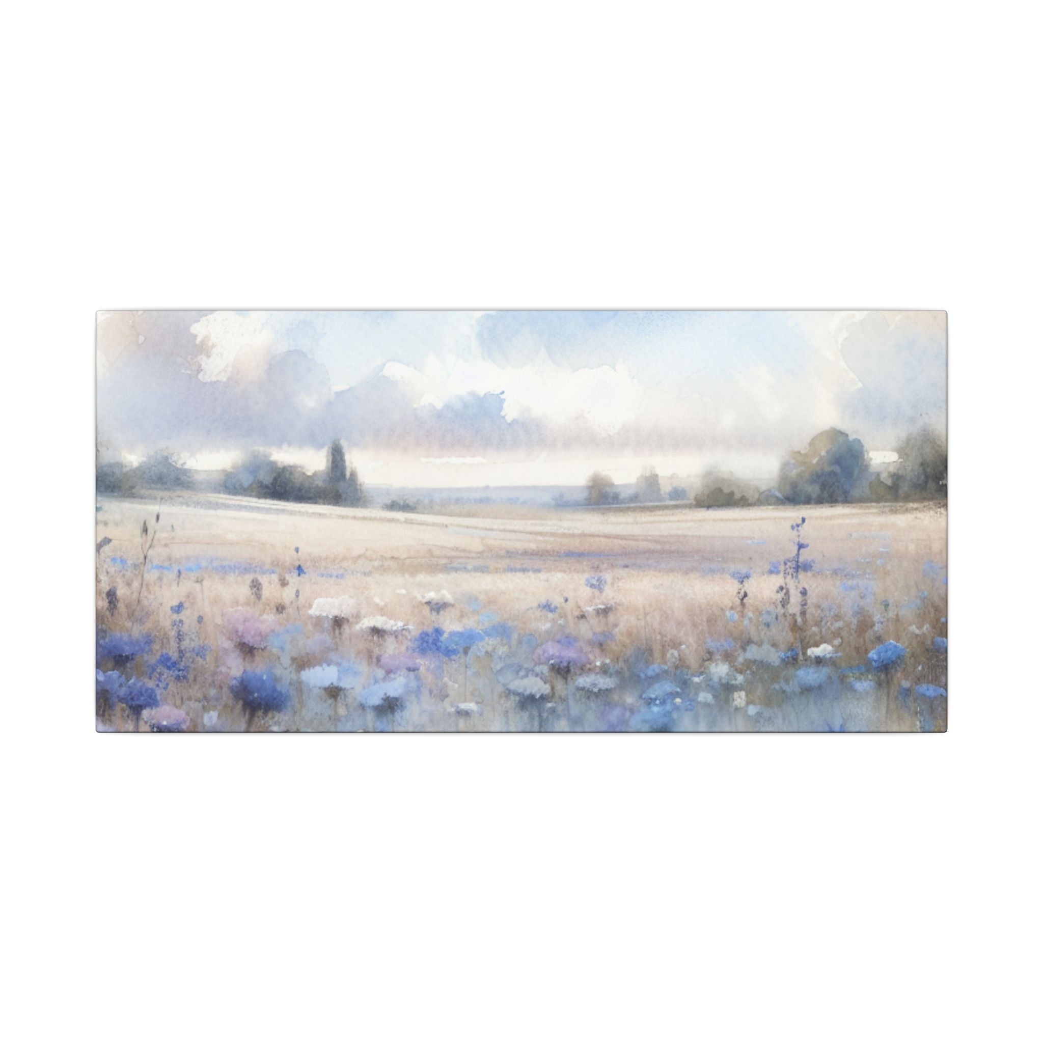 Cornflower Field Canvas
