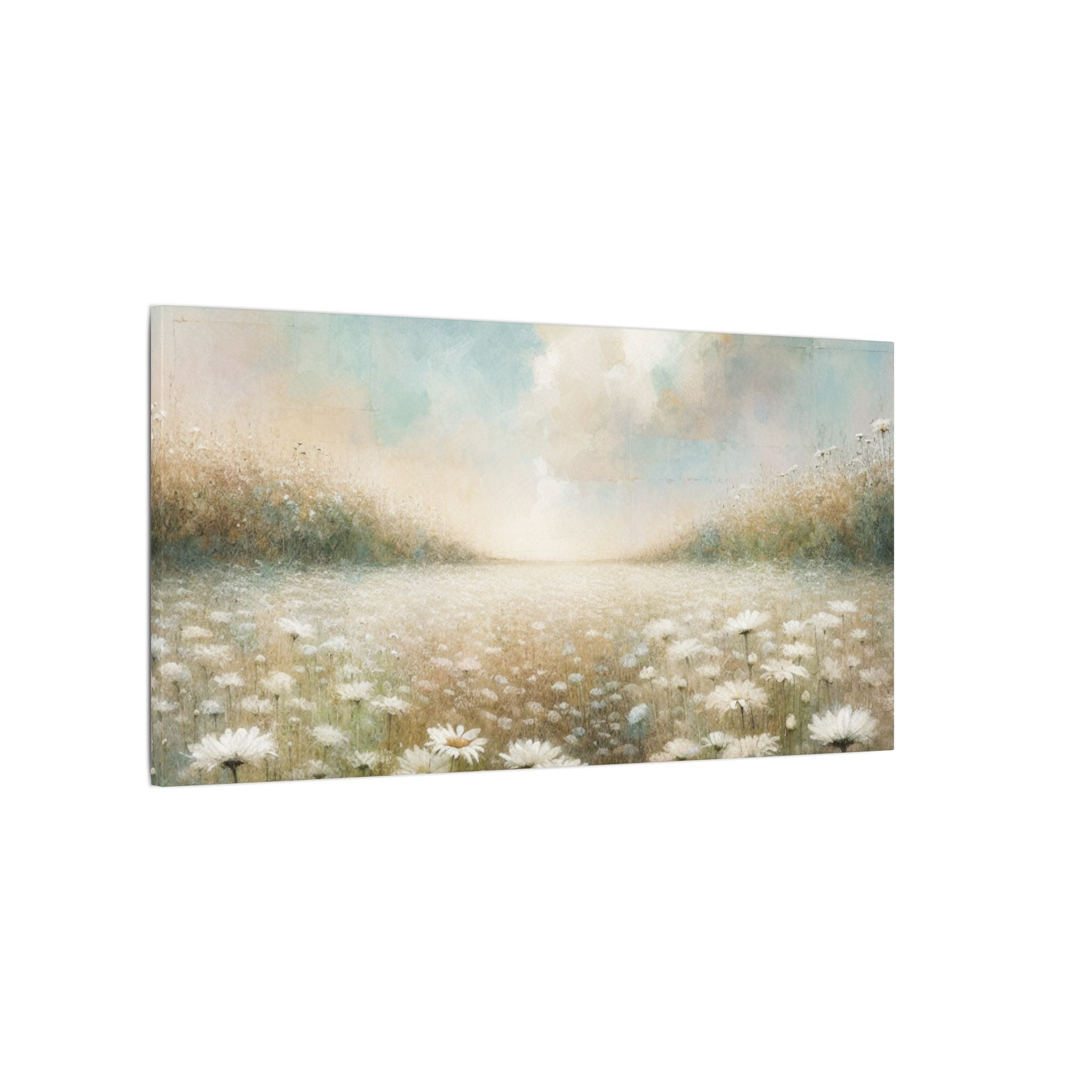 Daisy Field Skyscape Canvas