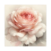Soft Bloom Rose Canvas
