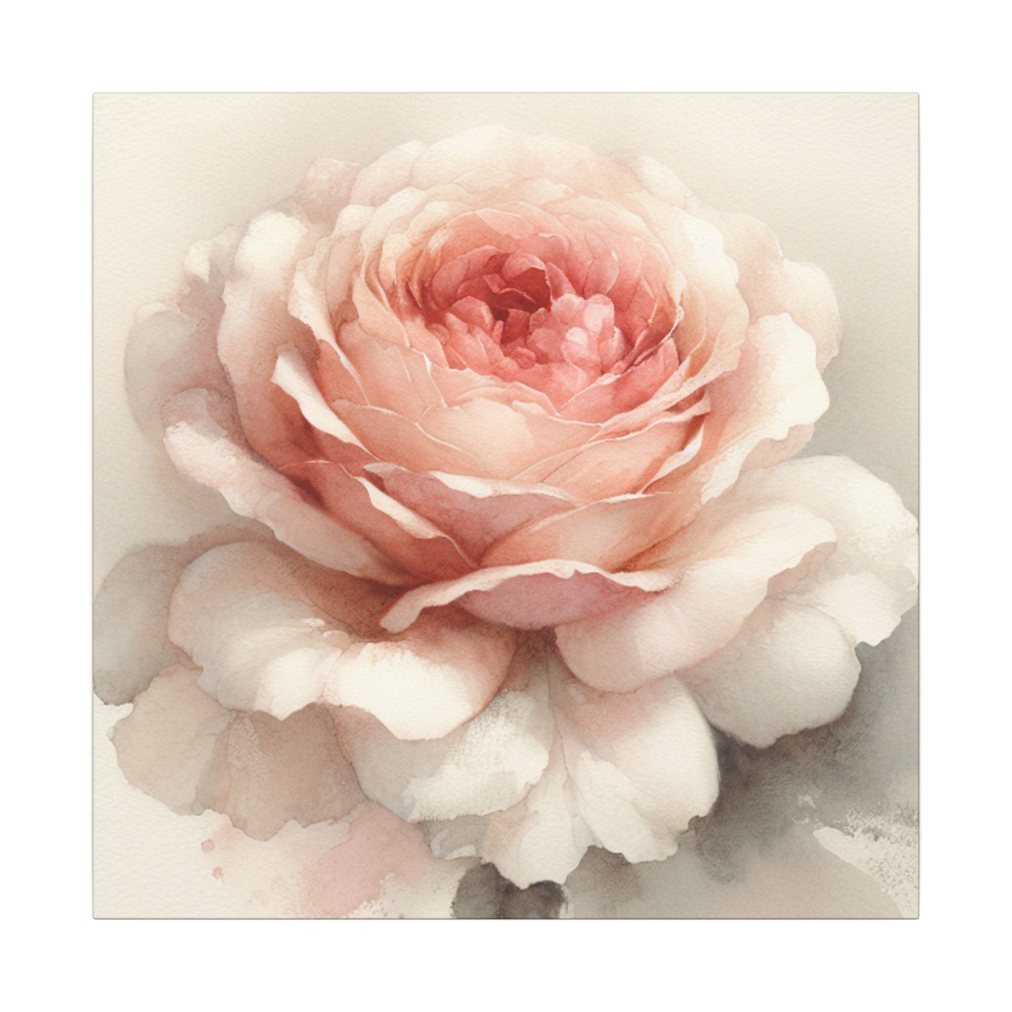 Soft Bloom Rose Canvas