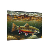 Brook Trout Stream Canvas