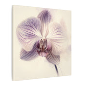 Orchid Bloom Watercolor Canvas