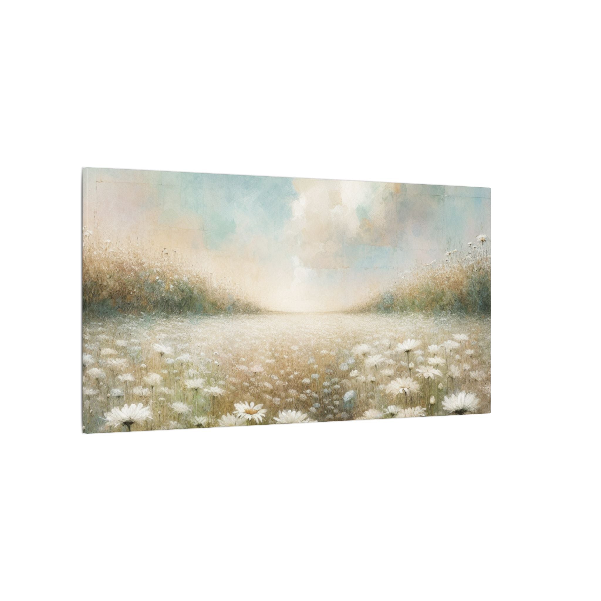 Daisy Field Skyscape Canvas