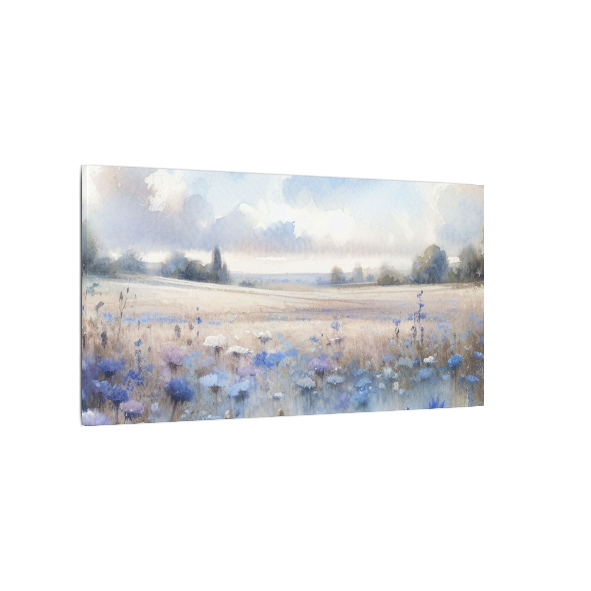 Cornflower Field Canvas