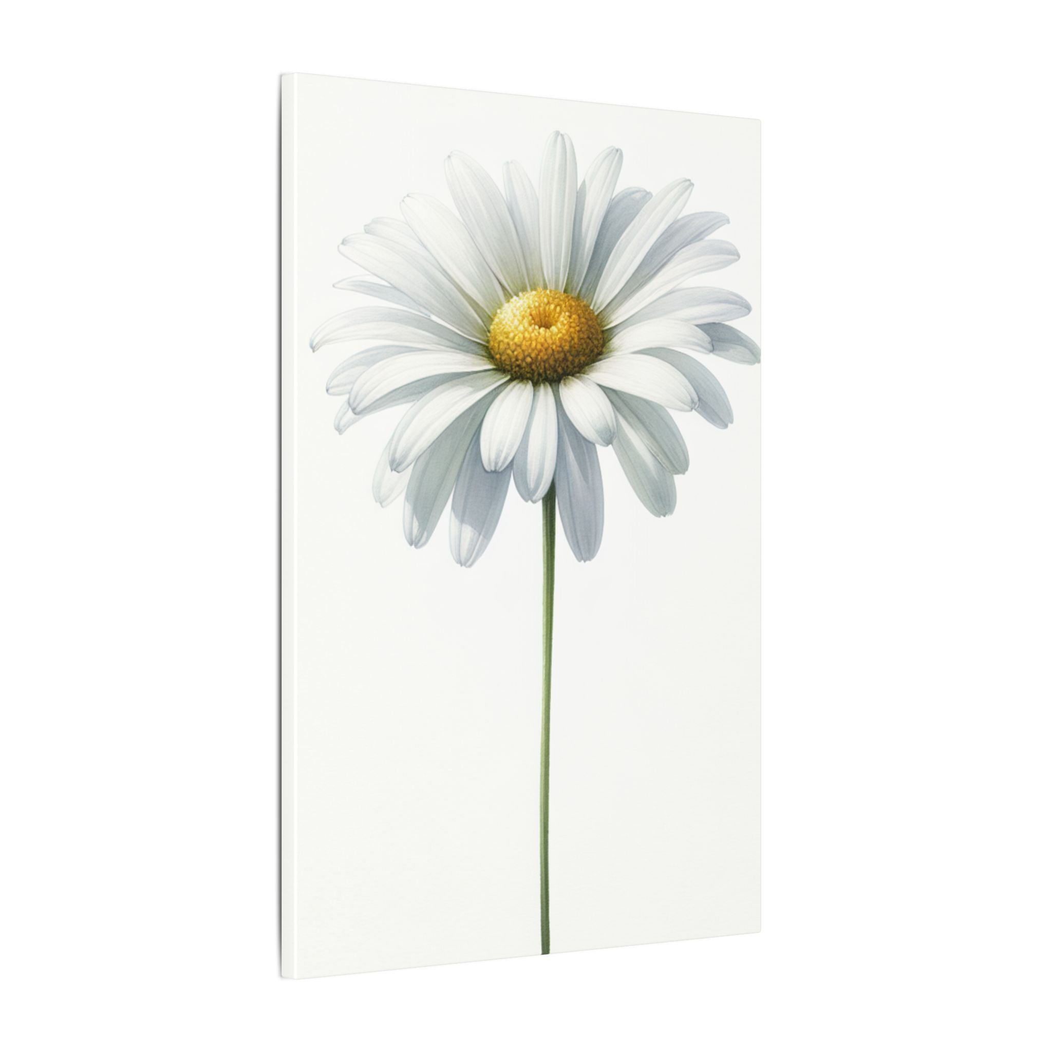 Minimalist Daisy Flower Canvas