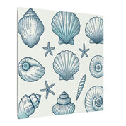 Coastal Shell Collection Canvas