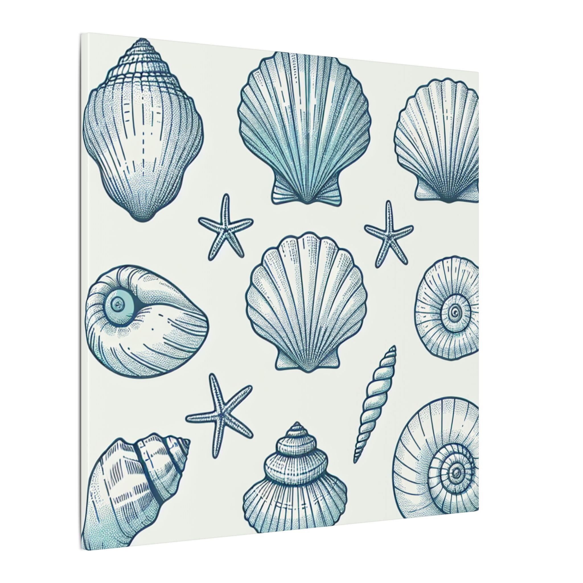 Coastal Shell Collection Canvas