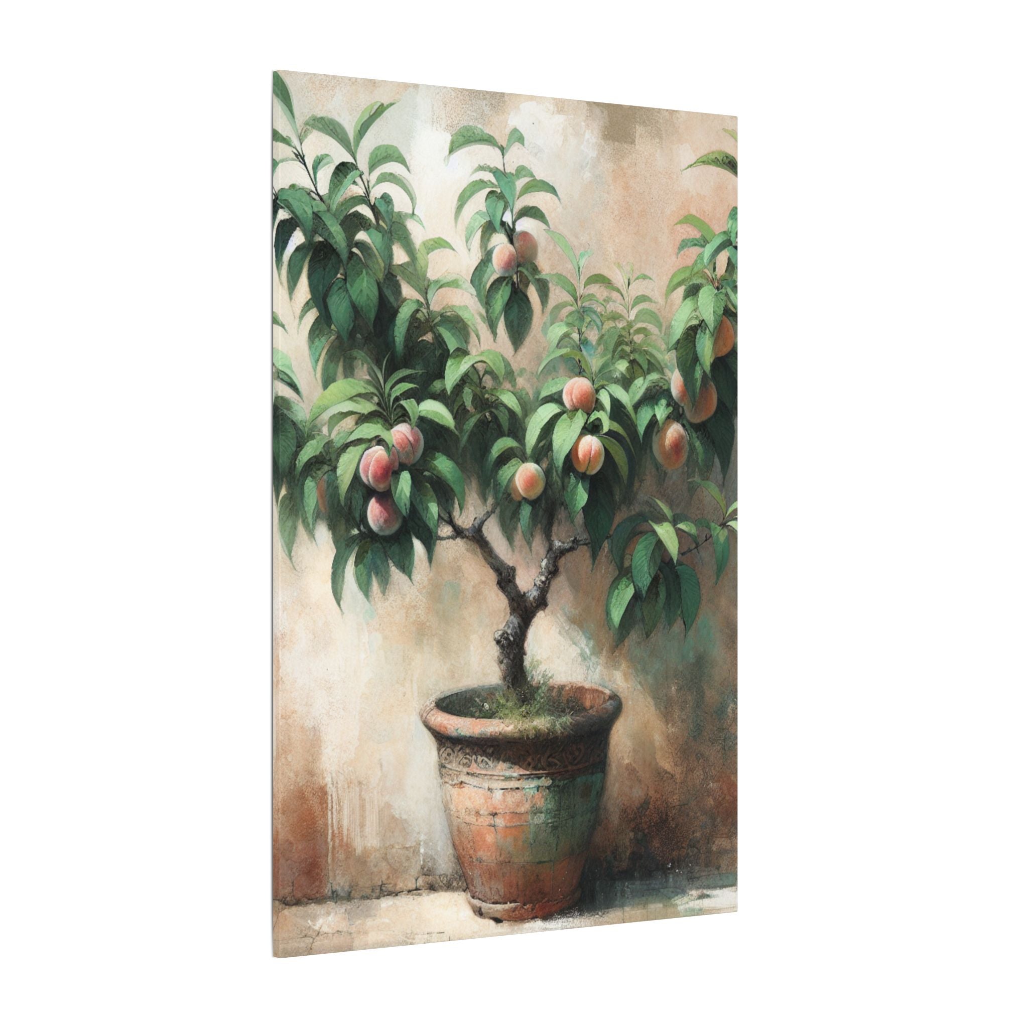 Potted Peach Tree Rustic Canvas