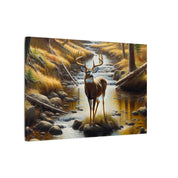 Majestic White-Tailed Wilderness